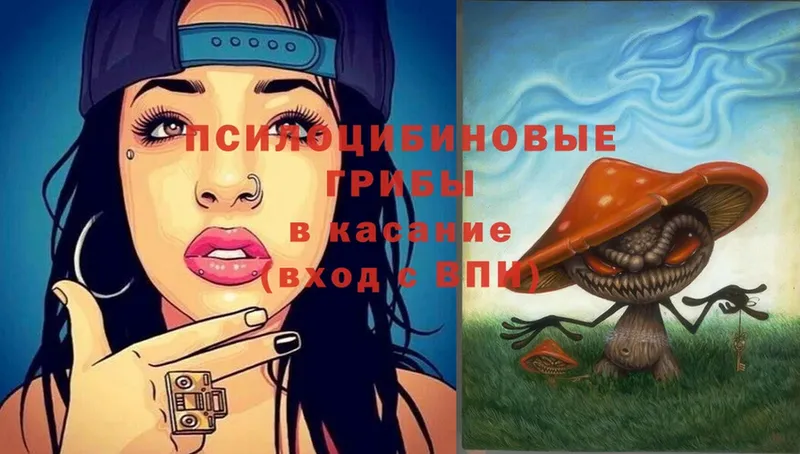 Псилоцибиновые грибы Psilocybe  блэк спрут маркетплейс  Анадырь  купить  сайты 