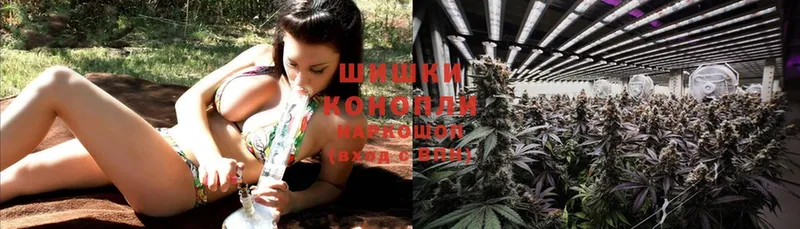 Канабис SATIVA & INDICA  ОМГ ОМГ маркетплейс  Анадырь 